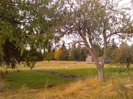 Welcome to Howe Farm & Dog Park