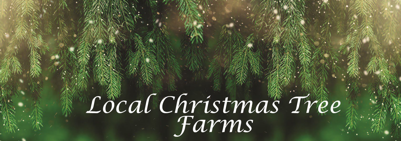 Local Christmas Tree Farms